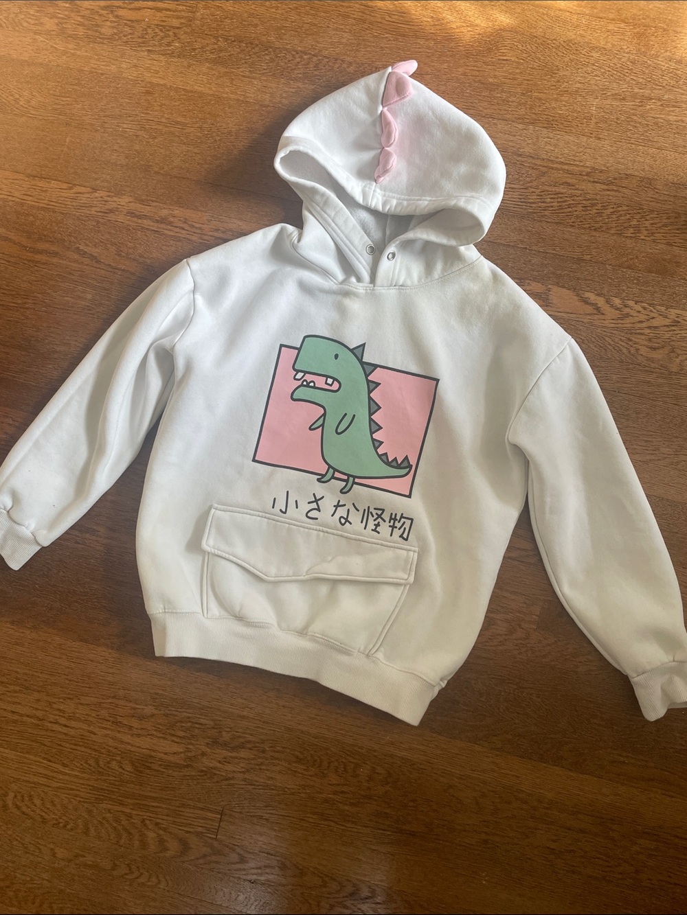 Cute Dino Hoodie